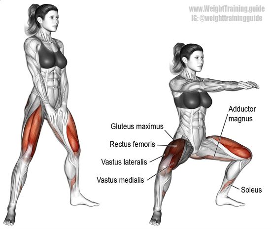 Vastus Medialis Trainieren