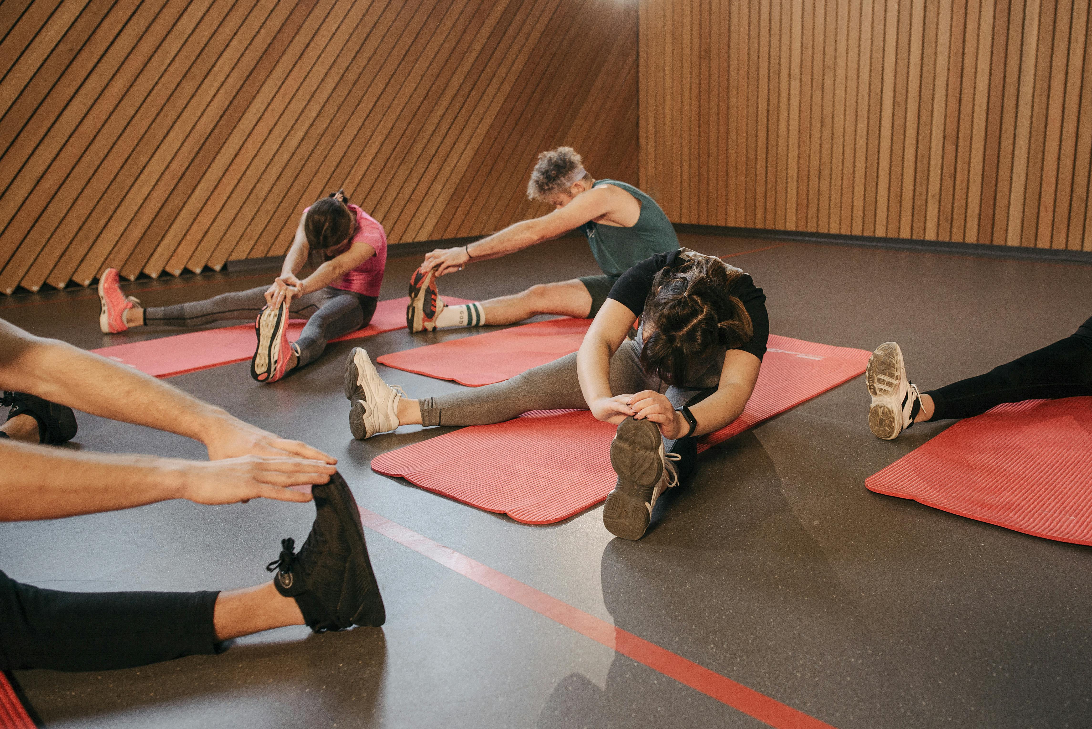 Rücken- und Bizeps-Training